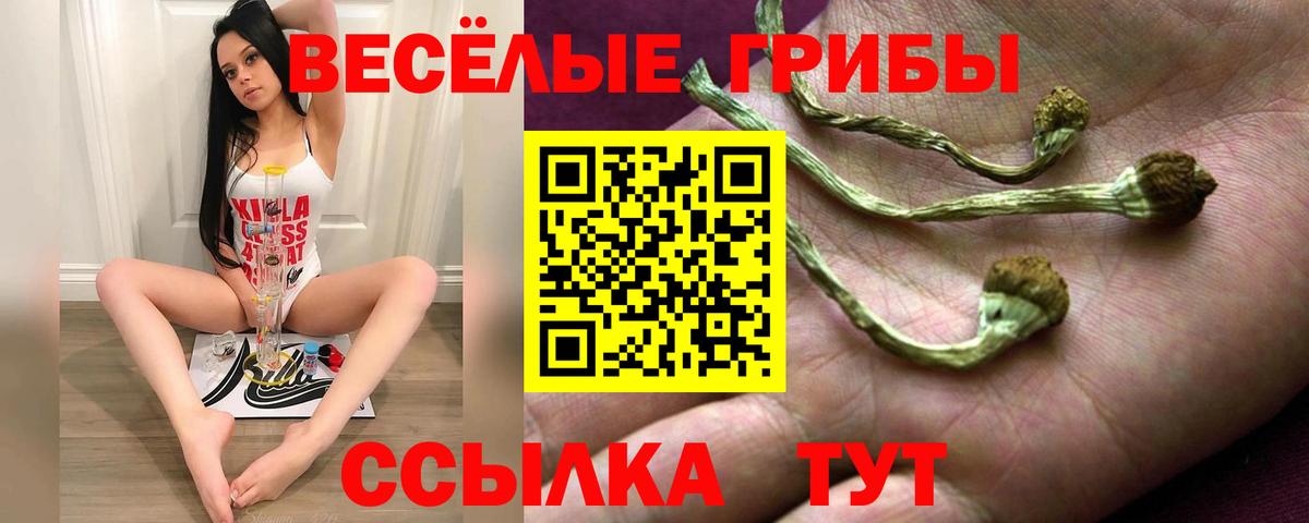 Псилоцибиновые грибы MAGIC MUSHROOMS  цена   Псилоцибиновые грибы Psilocybine cubensis  Евпатория  Вход с VPN 